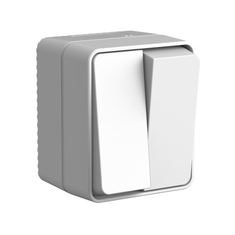 ATN543051 Atlasdesign PROFI IP54 О/У 2-клавишный ВЫКЛЮЧАТЕЛЬ 10 АХ, СЕРЫЙ Schneider Electric