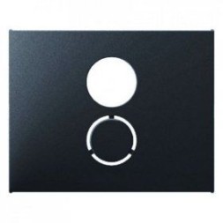 Центральная панель Berker R.1 Berker K.1 антрацит матовый для розетки к громкоговорителю 11847006