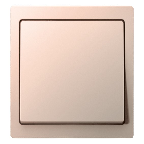 Рамка Merten D-Life Шампань 1 пост MTN4010-6551