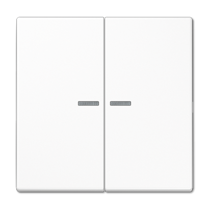 Клавиша Jung LS серия белая 2-я с/п LS995KO5WW