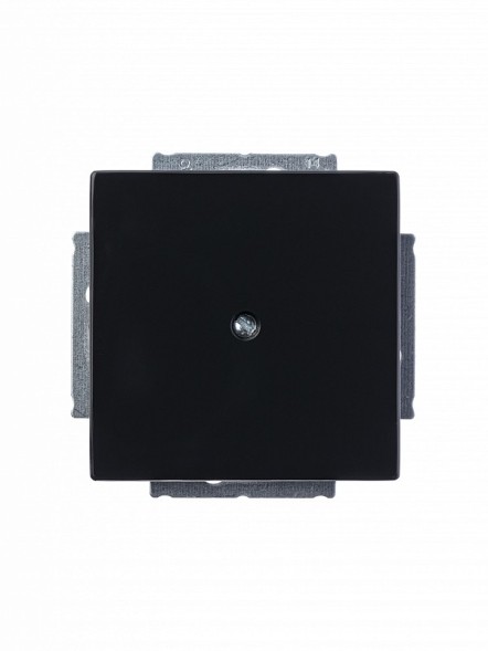 Заглушка с суппортом ABB Future антрацит 2CKA001710A3612 1742-81