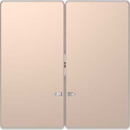 Клавиша Merten D-Life шампань 2-ная с линзой для led модуля MTN3420-6051