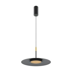 Подвесной светильник Maytoni MOD041PL-L15B3K1