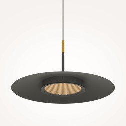 Подвесной светильник Maytoni MOD041PL-L15B3K1