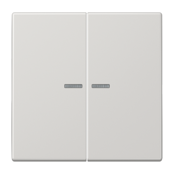 Клавиша Jung LS серия Светло-серый 2-я с/п LS995KO5LG