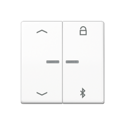 Таймер Jung AS серия белый универсальный Bluetooth «стрелки» для LB вставки «жалюзи» AS1751PBTWW