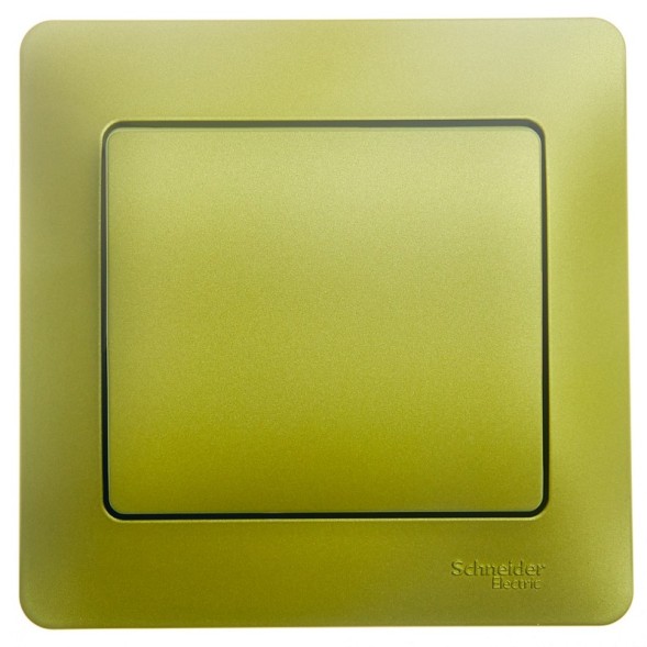 1-клавишный Выключатель,сх.1,10AX, в сборе Schneider Electric Glossa Фисташковый GSL001012