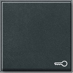 Клавиша Gira TX44 Антрацит с символом &quot;ключ&quot; 028767