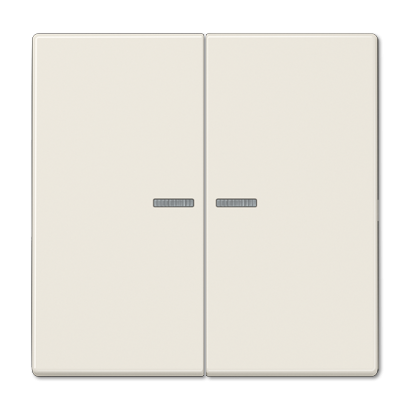 Клавиша Jung LS серия Бежевая 2-я с/п LS995KO5