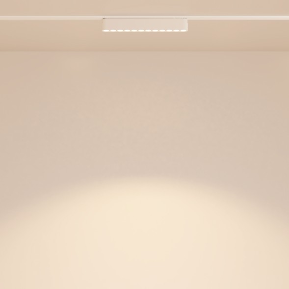 Трековый светильник Technical TR082-1-12W3K-M-W