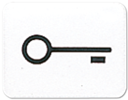 Линза Jung CD серия Белый с символом &quot;КЛЮЧ&quot; для клавиши с окошком 33TWW