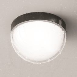 Уличный потолочный светильник Outdoor O438CL-L12GF3K