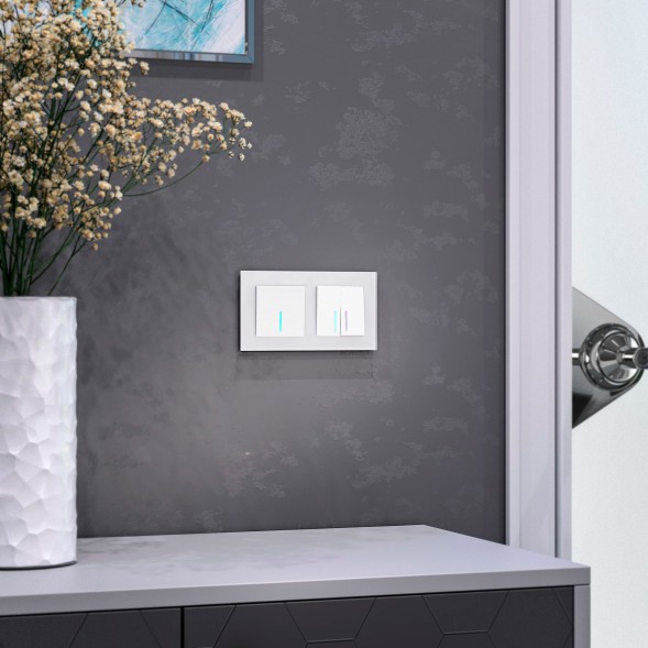 Рамка из стекла на 2 поста Favorit белый матовый Werkel W0021105