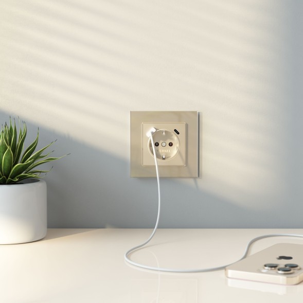 Рамка из стекла на 1 пост Favorit шампань Werkel W0011111