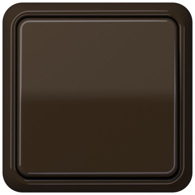 Рамка Jung CD 500 Коричневый 1 пост CD581BR