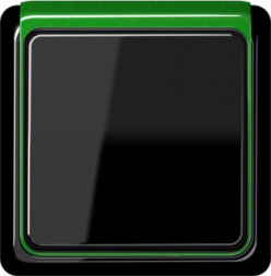 Рамка Jung CD Plus Зеленый внешняя металлизированный 1 пост CDP82GNM