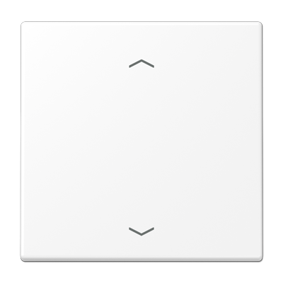 Центральная плата Jung LS серия белоснежный матовый стандарт «стрелки» LS1700PWWM