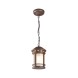 Уличный подвесной светильник Outdoor O031PL-01BR