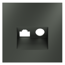 Накладка для розетки TV+RJ45 кат. 6, S70 (титан)