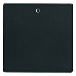 Клавиша Berker Q.1 с надписью 16226086