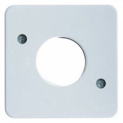 Центральная панель Berker R.1 Berker IP44 полярная белизна с блеском для нажимной кнопки и светового сигнала Е10 Влагозащищенный скрытый монтаж 153009