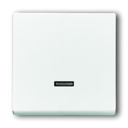 Клавиша ABB davos/альпийский белый для светорегулятора 6550 U-10x 6560 U-101 6593 U реле 6401 U-10x 6402 U 2CKA006599A3010 6543-84-101-500