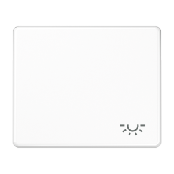 Клавиша Jung SL 500 Белый 1-я с символом &quot;ОСВЕЩЕНИЕ&quot; SL590LWW