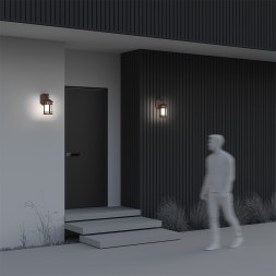 Уличный настенный светильник Outdoor O031WL-01BR