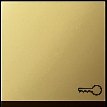 Клавиша Gira Латунь с символом &quot;ключ&quot; 0287604