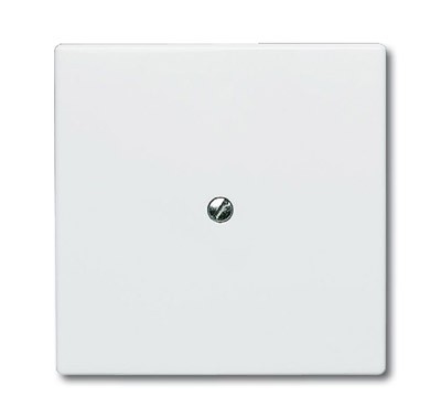 Заглушка с суппортом ABB Allwetter 44 альпийский белый белый IP44 2CKA001710A1852 2138-34