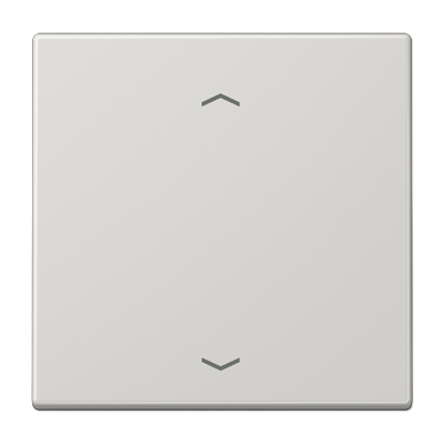 Центральная плата Jung LS серия светло-серый стандарт «стрелки» LS1700PLG