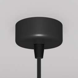 Подвесной светильник Maytoni P038PL-01B