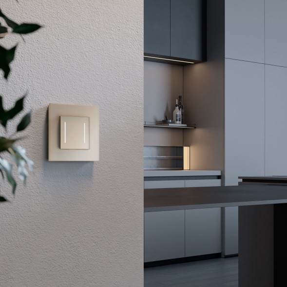 Умный сенсорный выключатель двухклавишный (шампань) Werkel W4523011