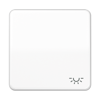 Клавиша Jung CD серия Белый 1-я с символом &quot;ОСВЕЩЕНИЕ&quot; CD590LWW