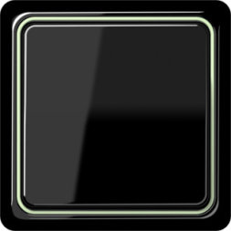 Рамка Jung CD Plus Светло-зеленый внутренняя 1 пост CDP81LGN