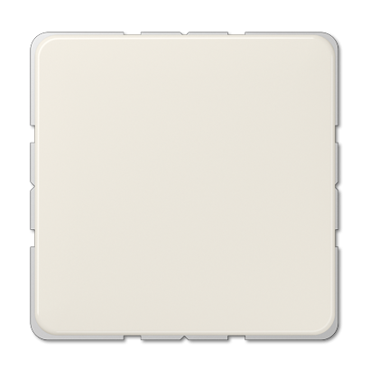 Заглушка Jung CD серия Бежевый 594-0