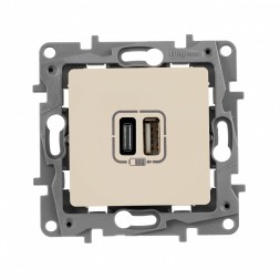 Зарядное устройство Legrand Etika Слоновая кость с двумя USB разьемами тип Aтип С 240В/5В 3000мА 672336