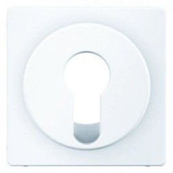 Центральная панель Berker R.1 Berker Q.1 полярная белизна с эффектом бархата, для замочных выключателей/кнопок 15076089