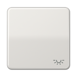 Клавиша Jung CD серия Светло-серая 1-я с символом &quot;ОСВЕЩЕНИЕ&quot; CD590LLG