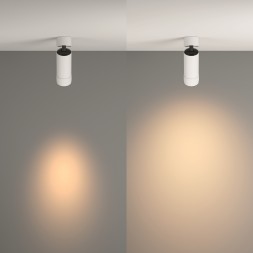 Потолочный светильник Technical C055CL-L12W3K-Z-W