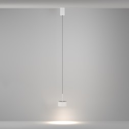 Подвесной светильник Maytoni P102PL-12W4K-W