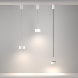 Подвесной светильник Maytoni P102PL-12W4K-W