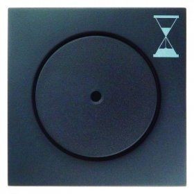 Центральная панель Berker R.1 Berker Q.1 антрацитовый с эффектом бархата, с нажимной кнопкой для механизма реле времени 16746086