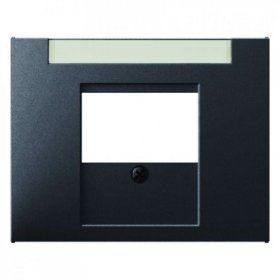 Центральная панель Berker R.1 Berker K.1 антрацит матовый для розетки TDO 6810347006