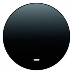 Клавиша Berker R.3 черный глянцевый выключателя с линзой 16212045