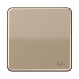 Клавиша Jung CD серия бронза 1-я с символом &quot;ОСВЕЩЕНИЕ&quot; CD590LGB