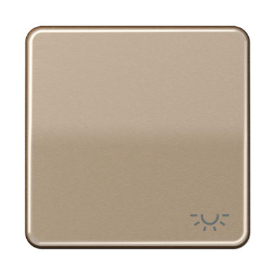 Клавиша Jung CD серия бронза 1-я с символом &quot;ОСВЕЩЕНИЕ&quot; CD590LGB