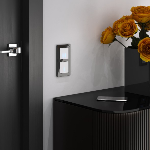 Сенсорный выключатель двухклавишный с подсветкой 1000 Вт белый Werkel W4520001