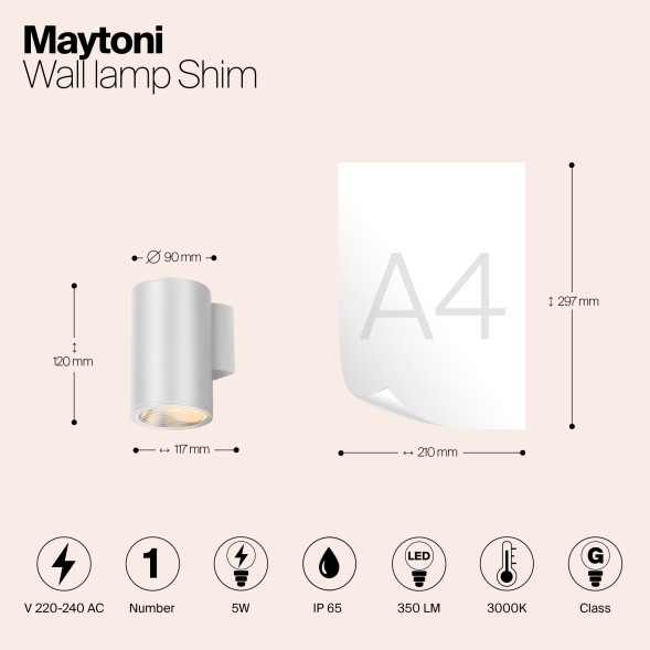 Уличный настенный светильник Outdoor O303WL-L5W3K