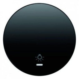 Клавиша Berker R.3 черная с блеском с прозрачной линзой и символом &quot;Свет&quot; 16212035